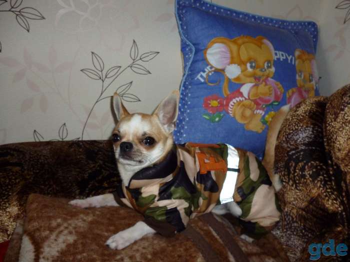 Предложение на вязку, фотография 4