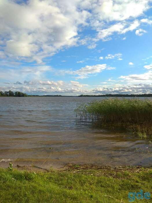 Эко отдых на Браславских озерах, д.Дубки, фотография 2
