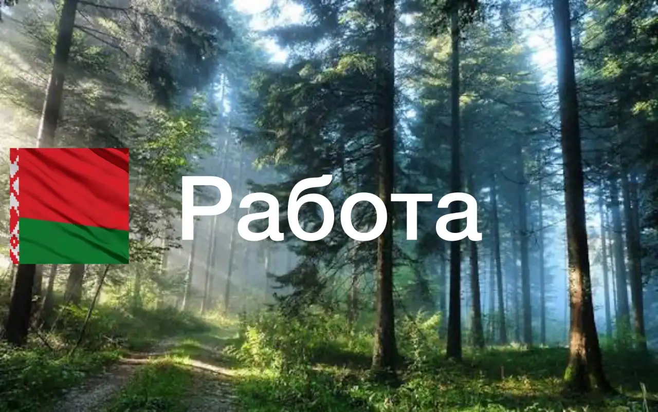 Вальщик леса - Сучкорез, фотография 1