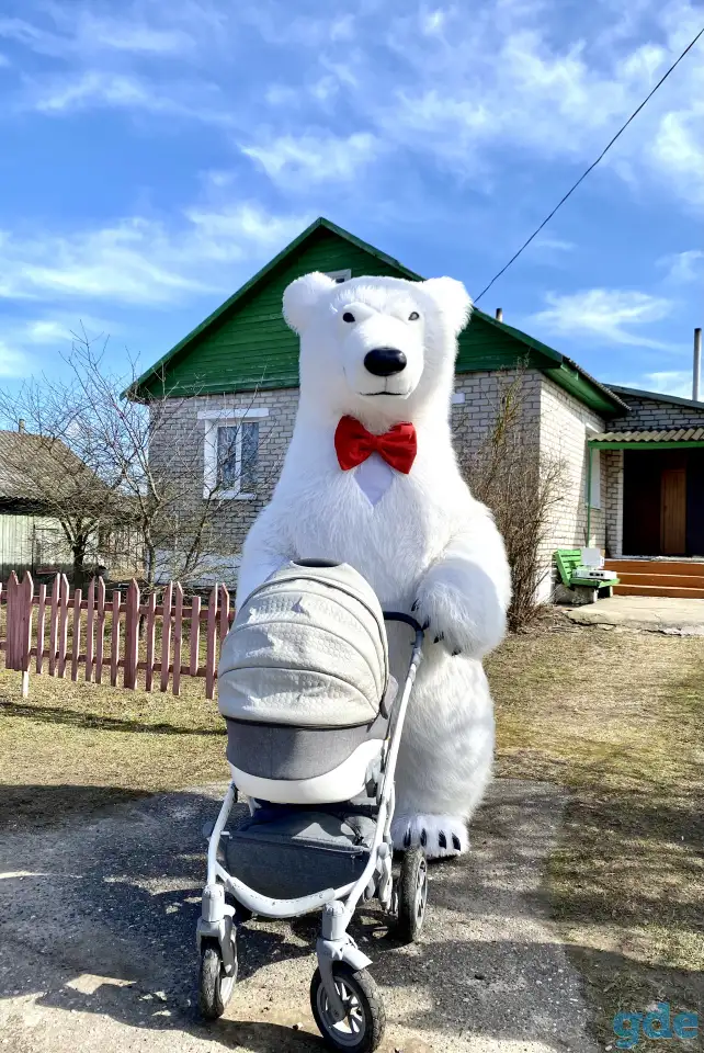 Поздравления от медведе/панды/мишка, фотография 1
