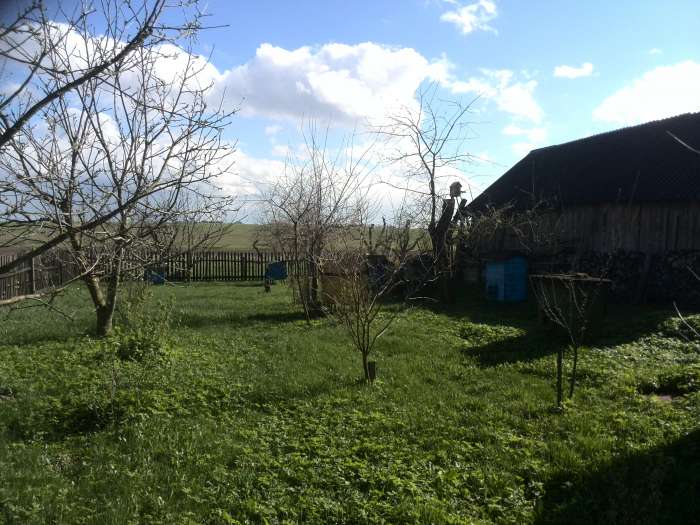 Продам дом в деревне, д.Перехрестье, Ляховичский р-он, Брестская обл., фотография 9