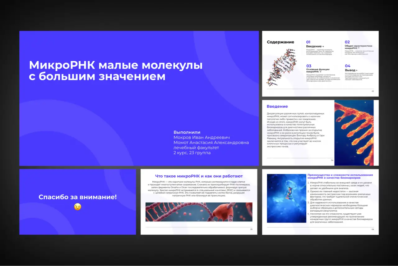 Бизнес-Презентация с нуля. До 30 слайдов, фотография 3