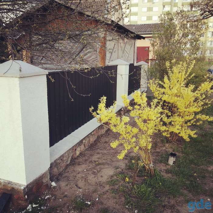 Ворота Заборы, фотография 6