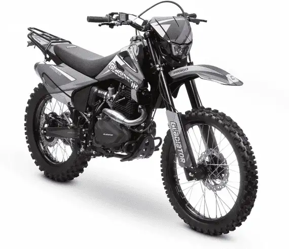 Мотоцикл GLADIATOR C4 PR300, фотография 5