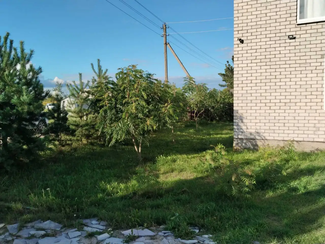 пережир, фотография 6