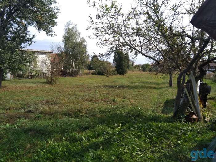 Участок под Брестом в д.Тельмы 2., фотография 5
