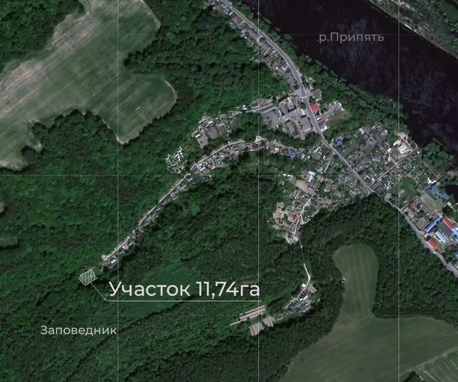 Участок с домом г.Мозырь, рядом река и Заповедник, фотография 2