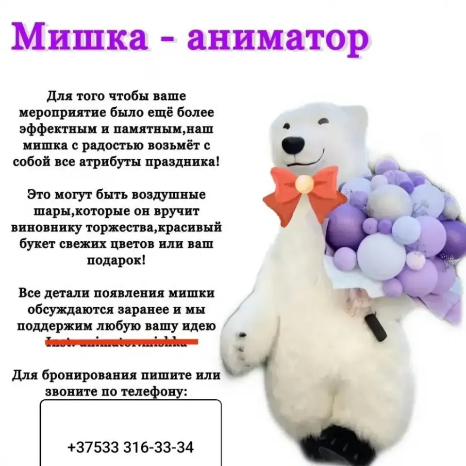 Мишка Балу, фотография 1