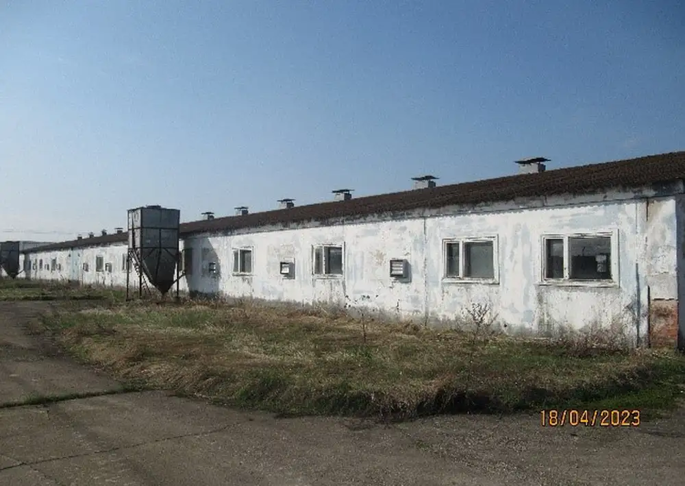 Комплекс объектов свинотоварной фермы на 1000 голов под Минском, фотография 6
