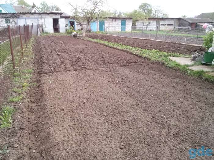 3-х комнатная квартира в двухквартирном доме, район Городея, фотография 2