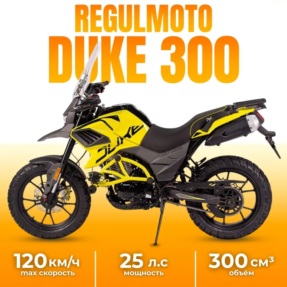 Мотоцикл Regulmoto DUKE 300, фотография 1