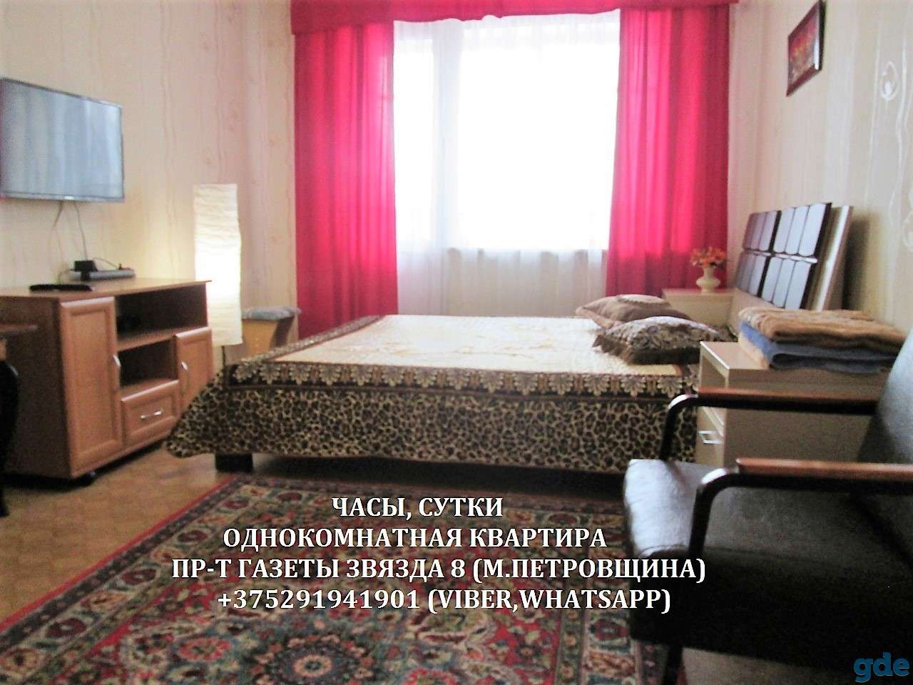 Сутки, часы. Однокомнатная квартира метро Петровщина., фотография 1