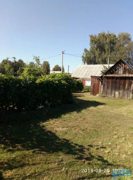 Участок с домом. Полоцк, фотография 4
