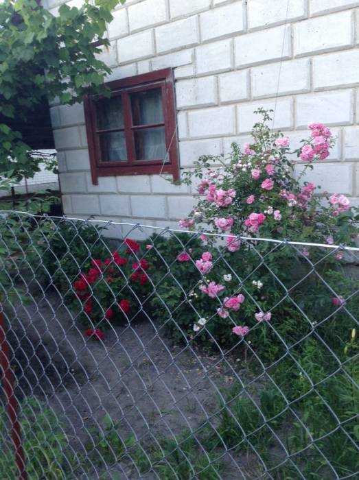 Продажа дачи, район , д.Скоки, товарищество 