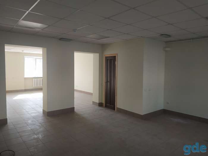 Сдача в аренду административно-торговое помещение, мира 52, фотография 4