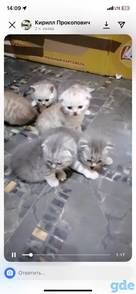 Продам, фотография 1