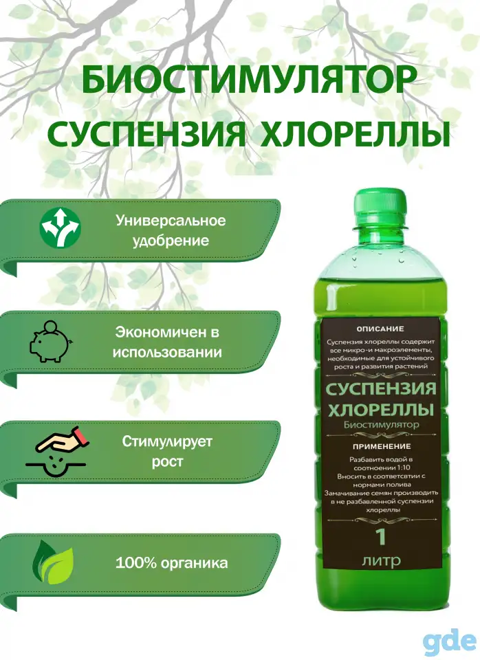 Суспензия хлореллы, фотография 1