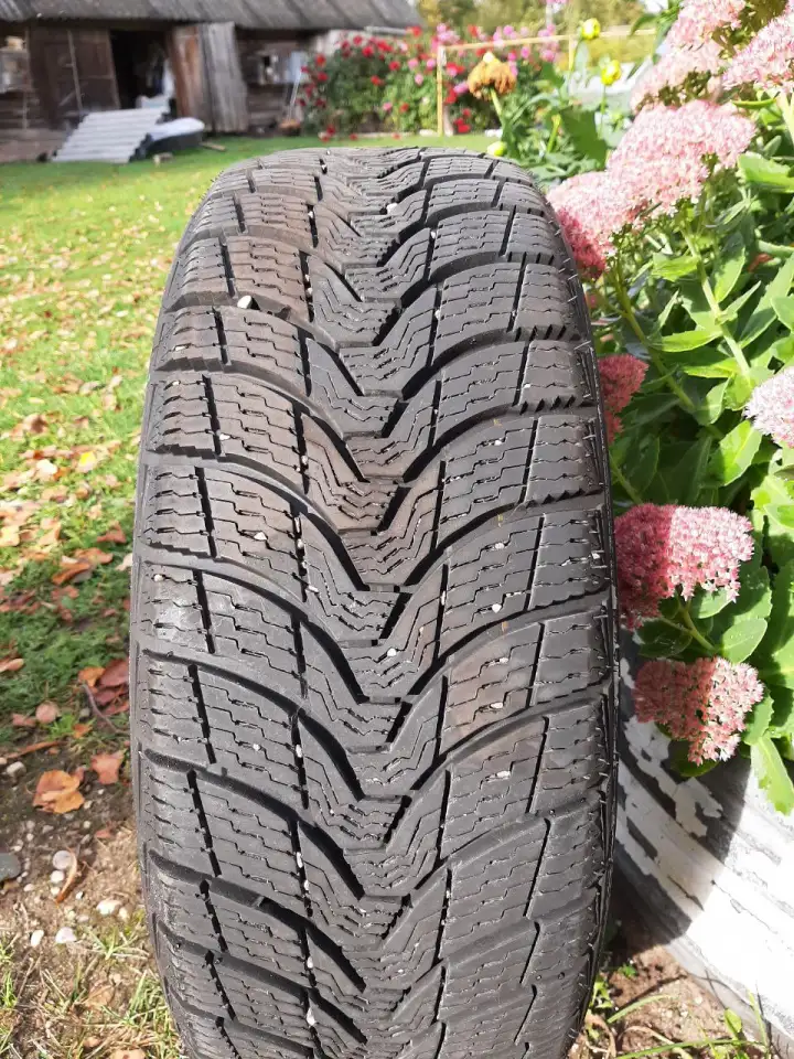 Зимние шины 20555R16 PREMIORRI VAAMAGGIORE 91T, фотография 1