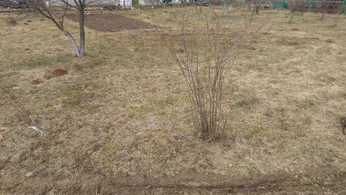 Срочно продам с/т Фантазия-Силичи, фотография 5