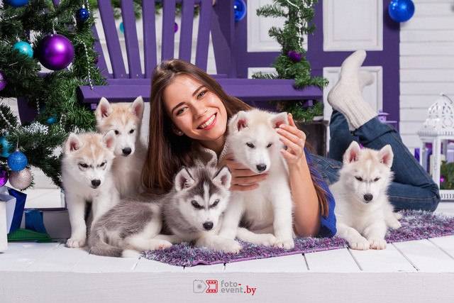 Фотосессия для всей семьи в профессиональной фотостудии. Доступные цены и профессиональный подход, фотография 3