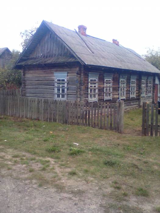 Продаеться дом., облость Петриковский р-он Лясковичский с/c д.Бринёв, фотография 2