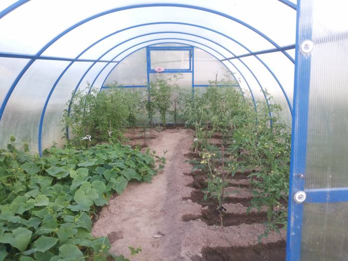 Участок продам, Домашаны, фотография 4