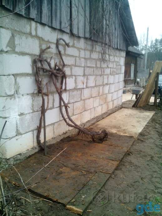 дом, улица Красикова, фотография 4