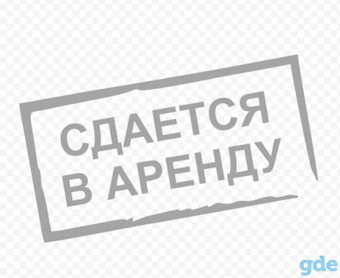 Сдам в аренду, фотография 1