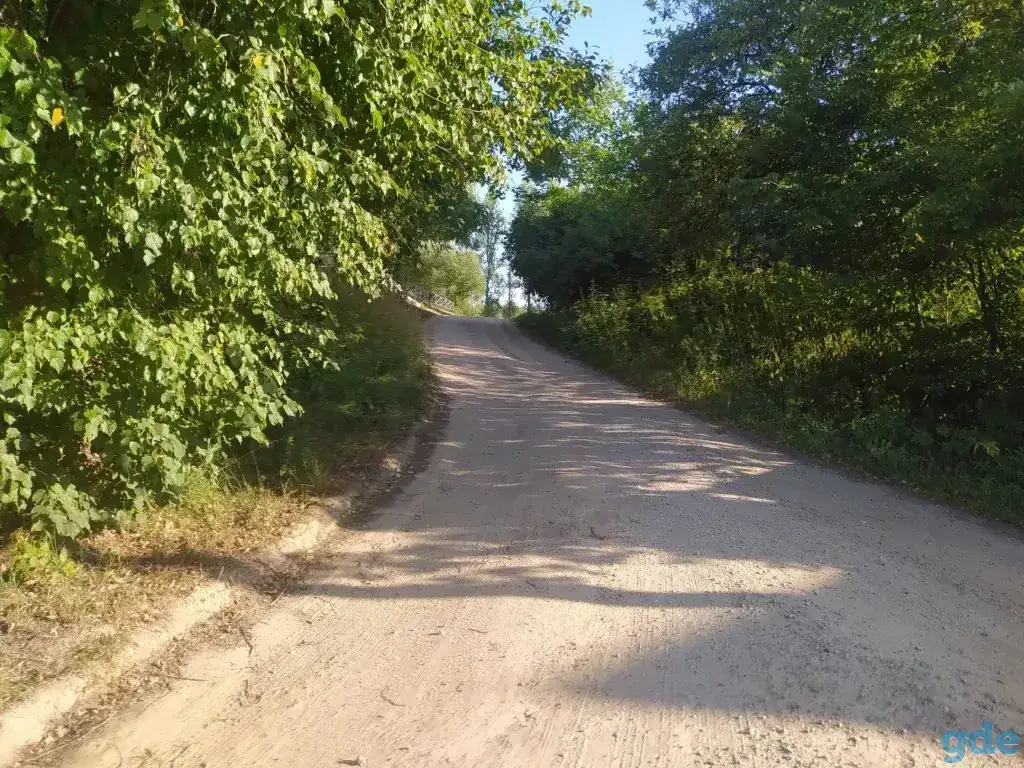 прекрасный участок на берегу озера Городно, Озёрная ул, 13, деревня Городнянский Мох, Новкинский сельсовет, район,, фотография 6
