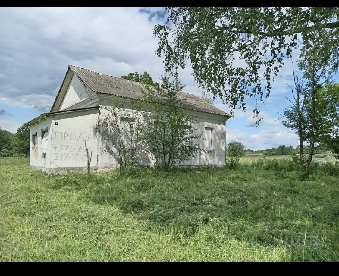 Кирпичный дом, Центральная ул, 8, деревня Ерёмино, Вороновский сельсовет, район, Вите, фотография 1