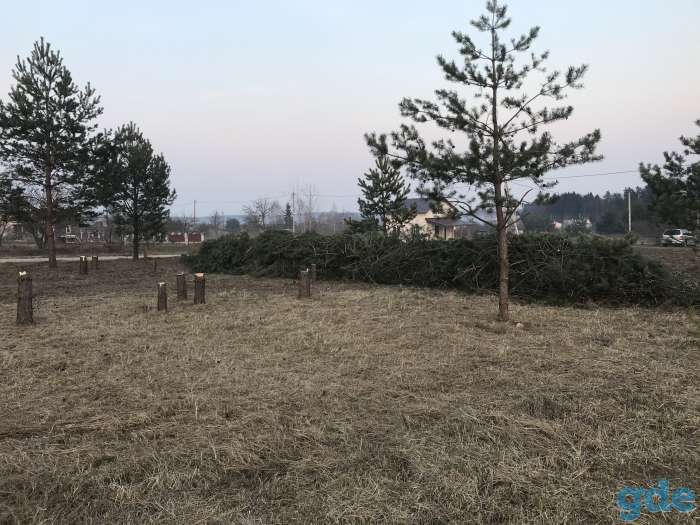Покос,спил деревьев  окос,скос кустарников и травы., фотография 3