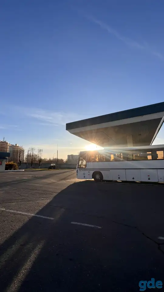 Автобусы 19-47 мест, перевозка пассажиров, фотография 1