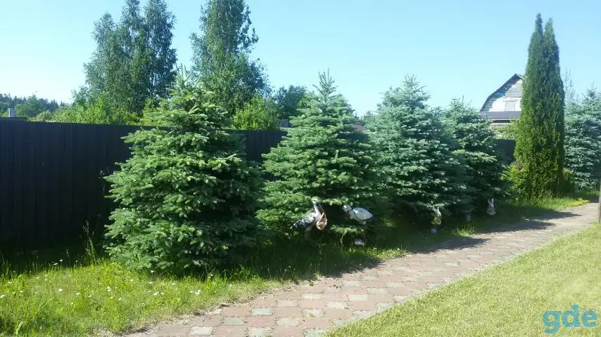 Сдается Дом-дача в живописном месте, на все лето, включая осенние месяцы., фотография 15