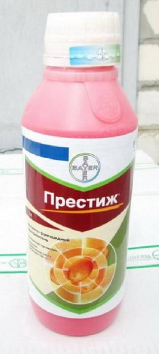 Престиж, фотография 2