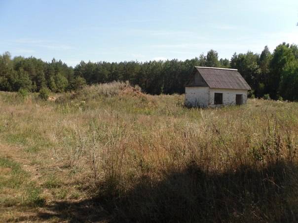 Перспективный участок в Негоничах 4,3 Га (89 км от Минска), фотография 2