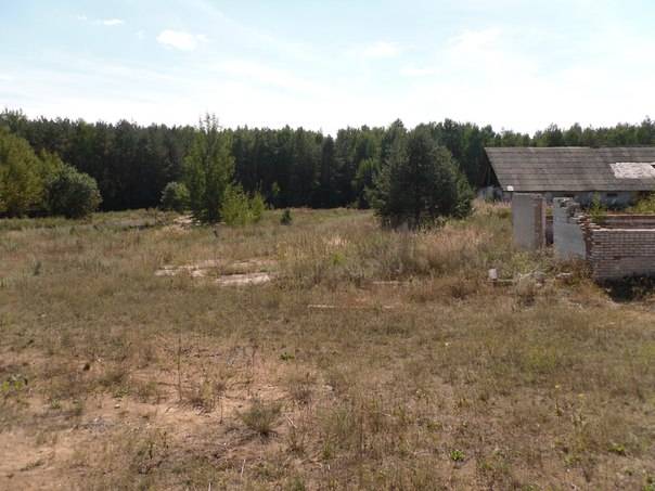 Перспективный участок в Негоничах 4,3 Га (89 км от Минска), фотография 3