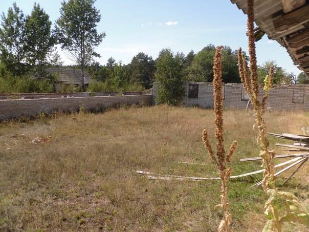 Перспективный участок в Негоничах 4,3 Га (89 км от Минска), фотография 7