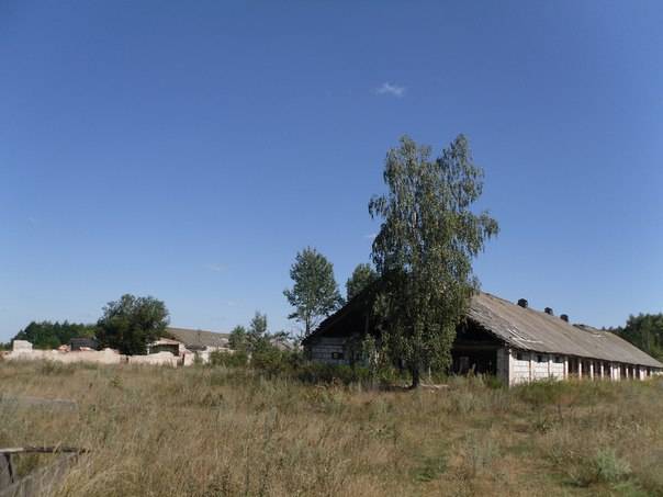 Перспективный участок в Негоничах 4,3 Га (89 км от Минска), фотография 13