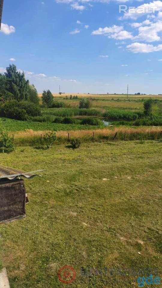 Продам 2 дома на участке 25 сот, деревня Петрашунцы, район, фотография 16