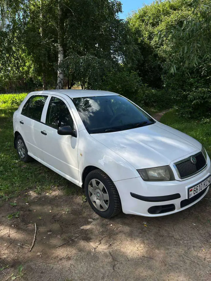 Продажа Skoda Fabia 6Y  Рестайлинг, 2006 г. в Гродно, фотография 1