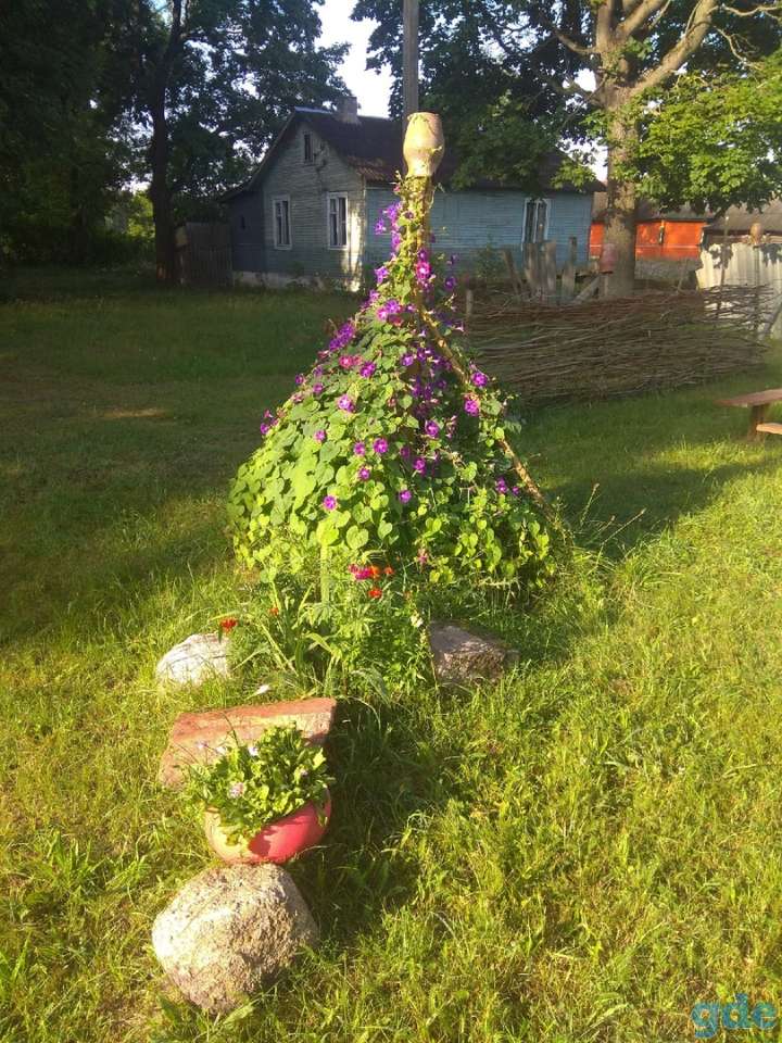Дом в живописной деревне рядом с Неманом, р-н, д. Лотевка, фотография 4