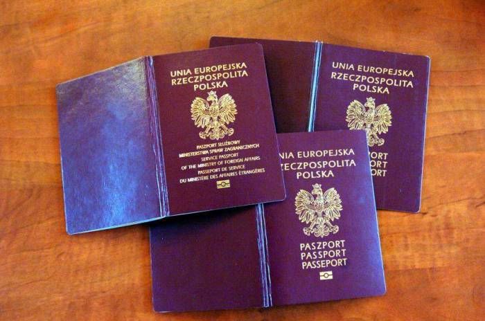 Оформление Европейских документов, фотография 3