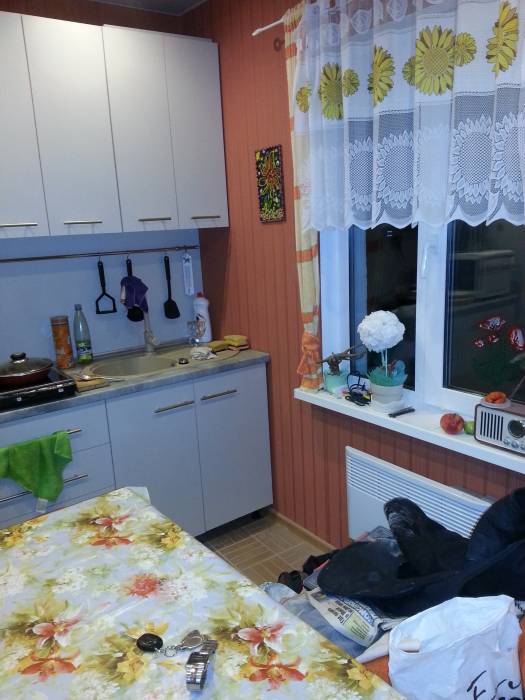 Дом мечты, д.Красный яр, фотография 7