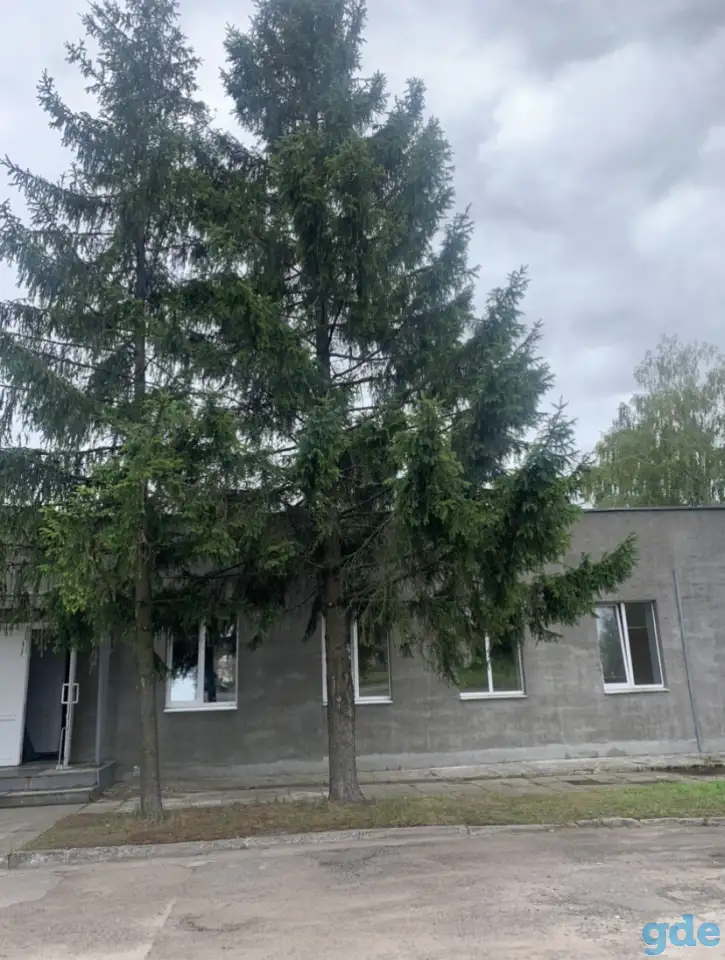 Сдается в аренду ОФИС БОБРУЙСК, ул. Бахарова 222А,, фотография 1