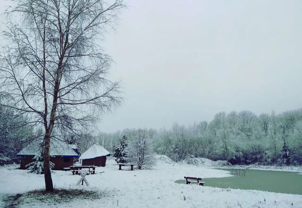 Участок кфх под Гродно для агроэкотуризма или сх, фотография 3