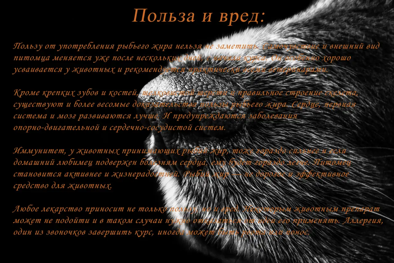 Масло из лосося камчатского SALMON OIL 100мл., фотография 4