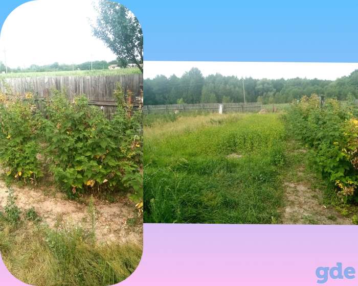 Полдома в Борщевке, Борщевка, Речицкий район, область, фотография 2
