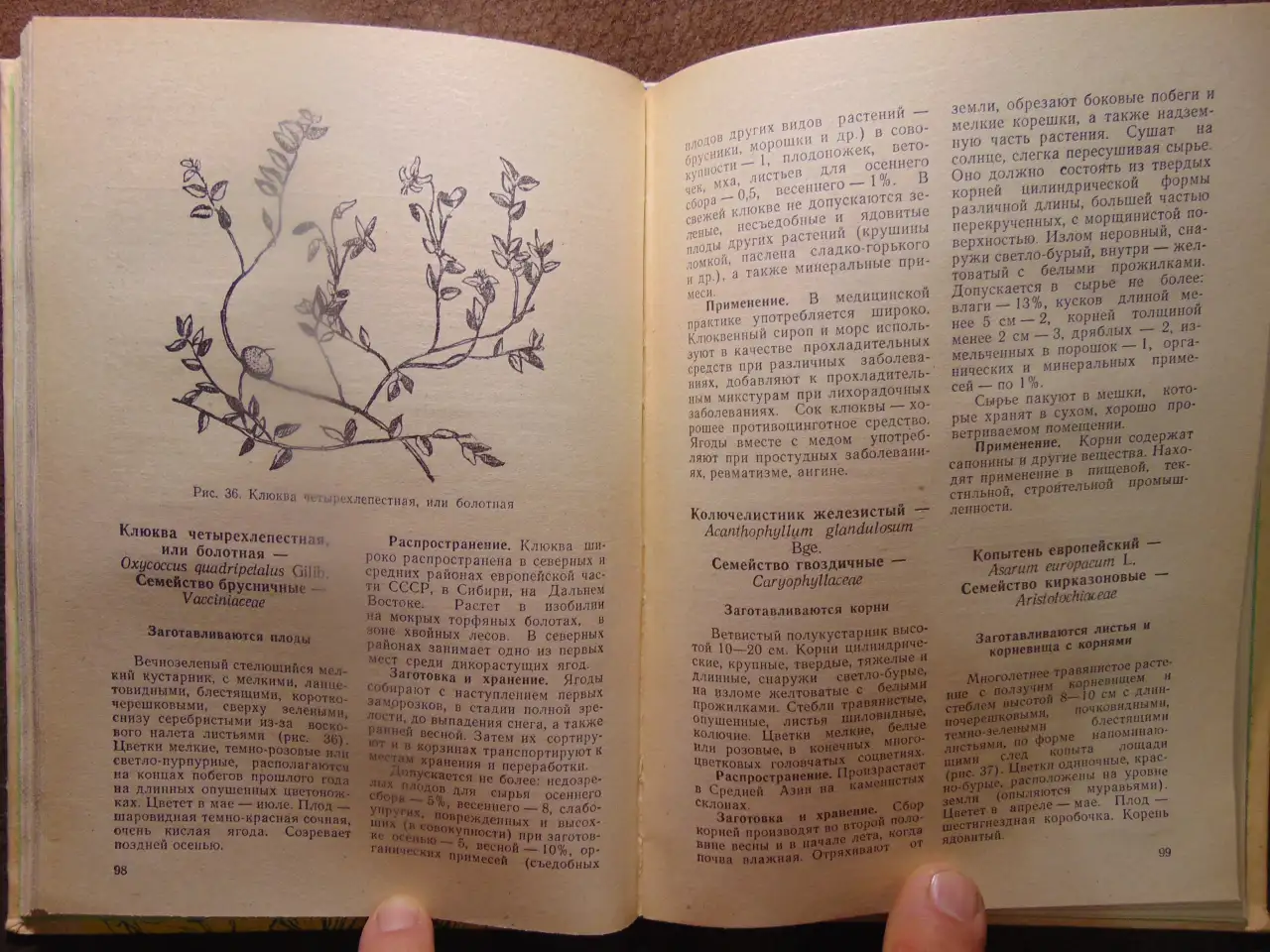 Заготовка дикорастущей продукции (пособие), издательство Ураджай, 1977 год, 240 страниц. Авторы: Коршиков Б. М., Митюков, фотография 8