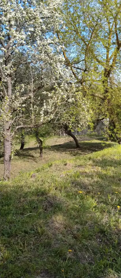 Лагуна в реки Березина, Свислочь ул. Березинская 3, фотография 3