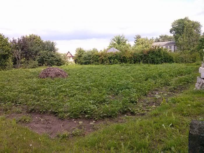 ДОМ В ЗАЛЕСЬЕ, Сморгонский Гродненская обл, фотография 8
